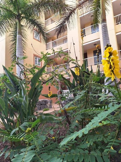 Tropical - Heated Pool Apartment Palm-mar